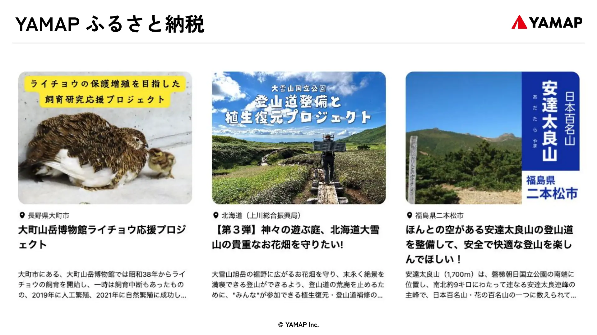 Slide page 13